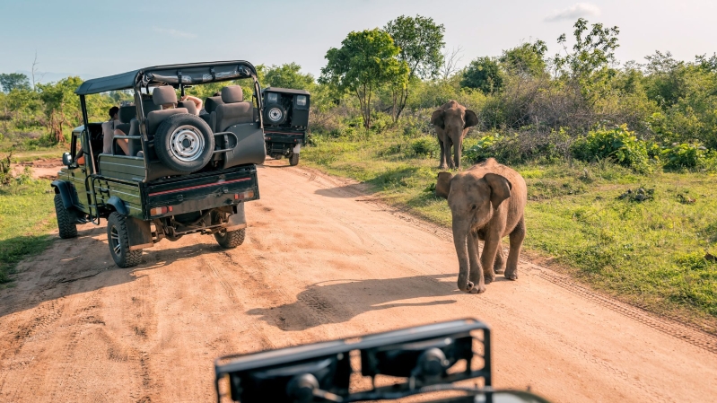 Imagens do ÁFRICA DO SUL