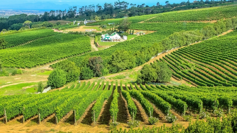Imagens do ÁFRICA DO SUL